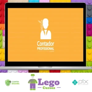 Contador Profissional: Vivendo de Contabilidade - Angélica Flor