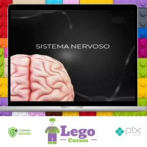 Fisiologia do Sistema Nervoso - Fisiologia Didática