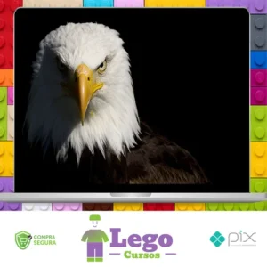 Mentoria Águias Do Tiktok - Samuka