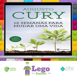 12 Semanas para Mudar uma Vida - Augusto Cury