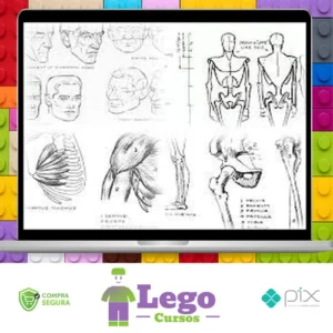 Livros de Desenho - Andrew Loomis