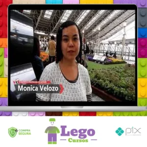 Japonês Básico: Escreva em Japonês - Monica Velozo