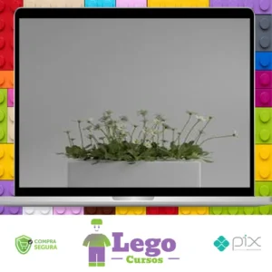 Shading no Blender para Iniciantes - Rafael Vallaperde