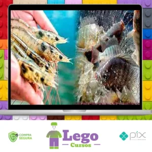 Criação de Camarão Marinho e Tilápias em Bioflocos: Longe do Mar em Tanques de Geomembrana e Ferrocimento - My Fish World