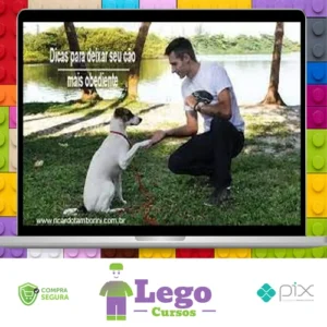 Desafio Cão Obediente - Marcelo Bessa