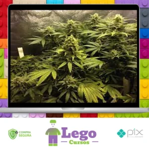 Cultivo Indoor de Plantas Medicinais - Jean Silva